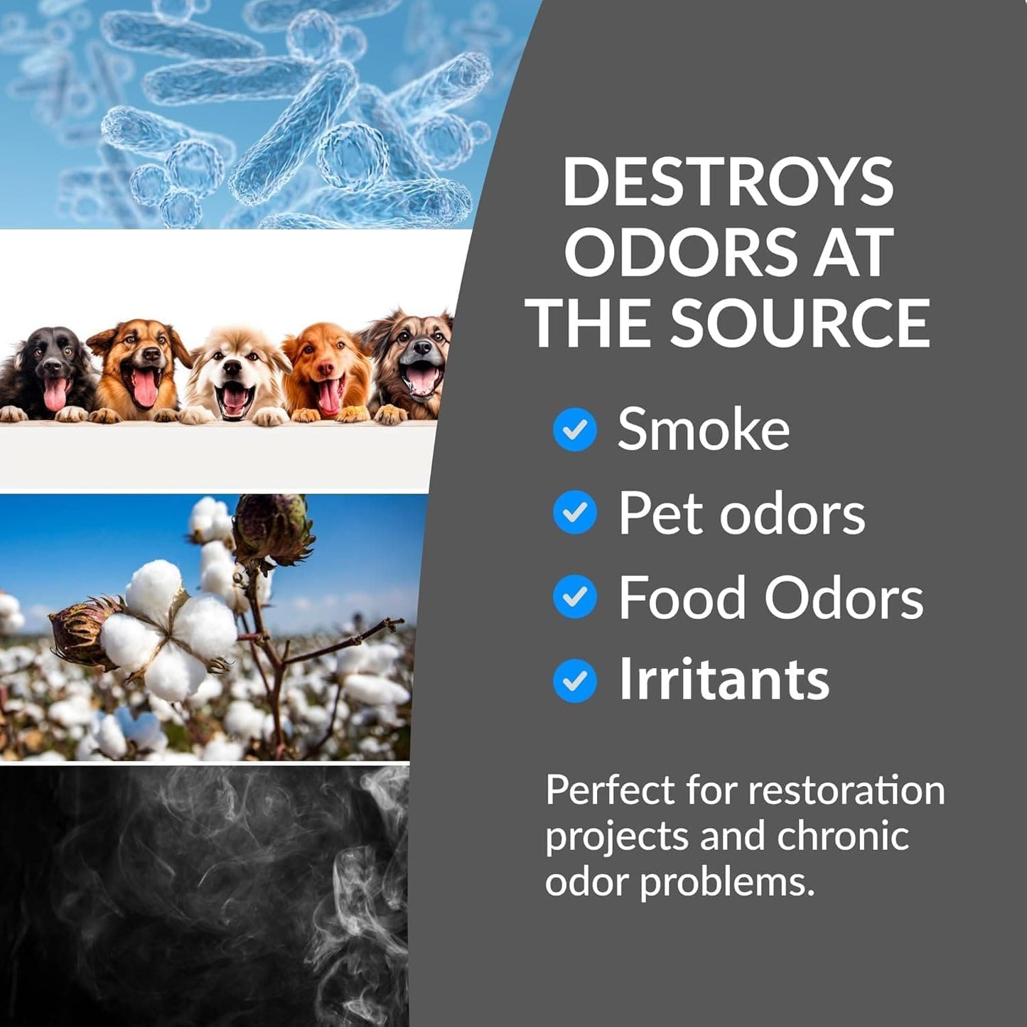 New Comfort PLCOZ12K Stainless Steel 6,000 to 14,000 mg/hr Commercial Ozone Generator and Air Purifier