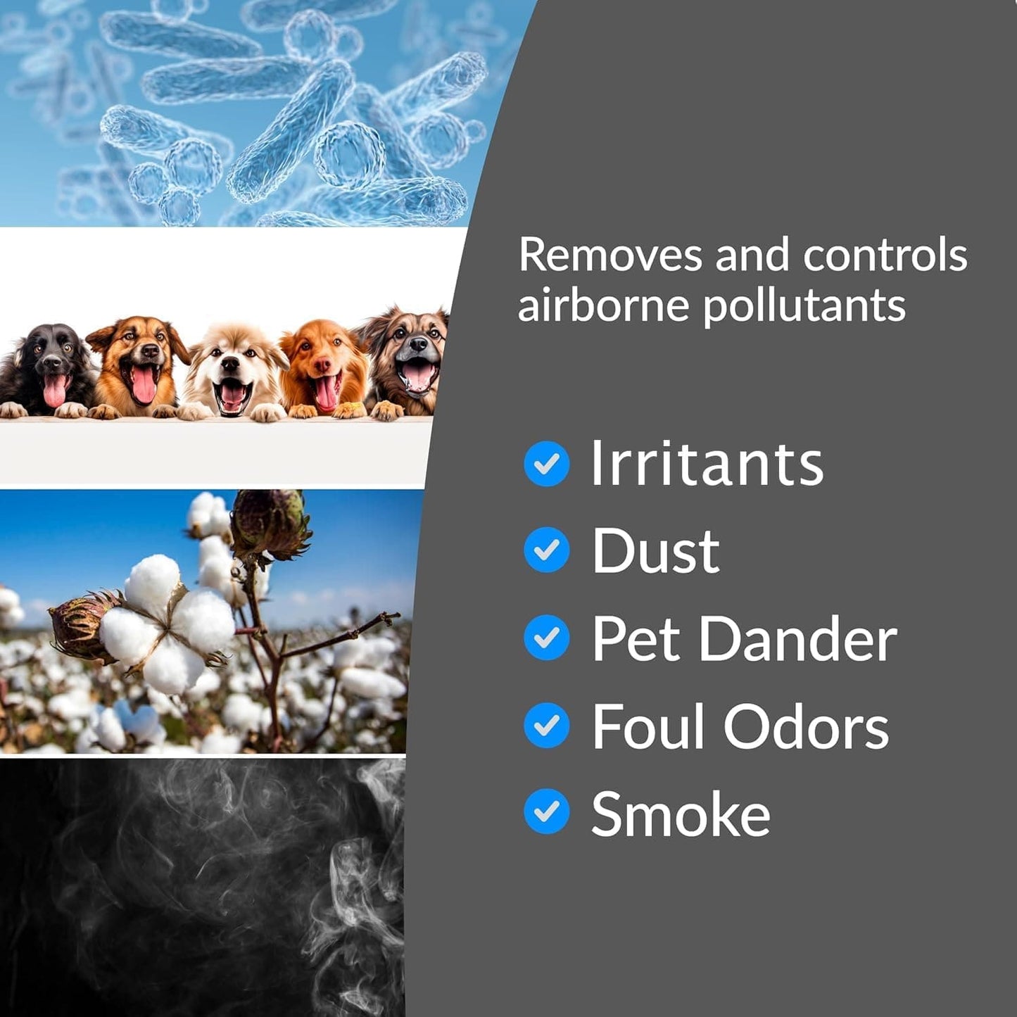 New Comfort Powerful 6 Stage Air Purifier & Ozone Generator by Prolux